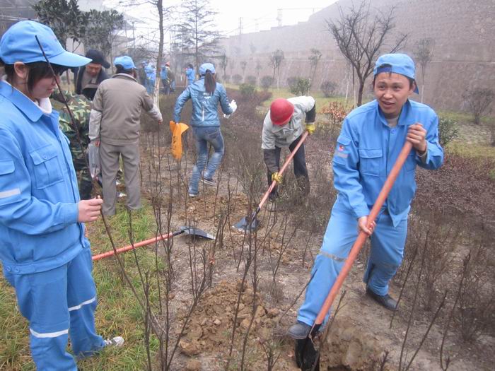 點(diǎn)擊查看放大圖